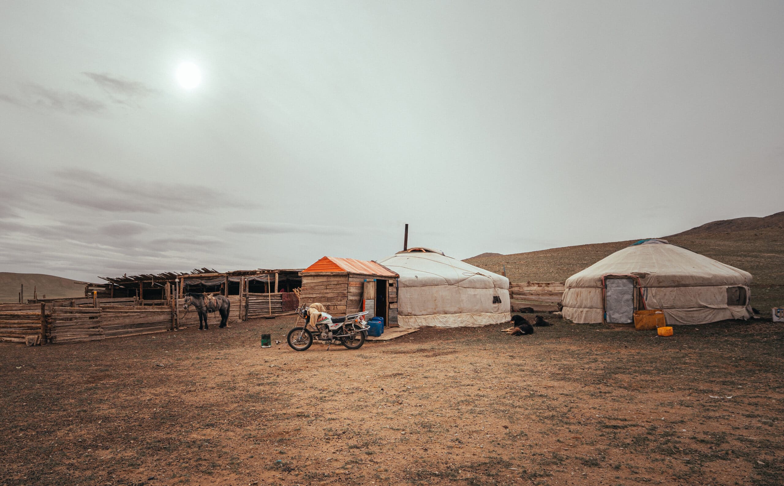Staying with Nomadic Mongolian Families