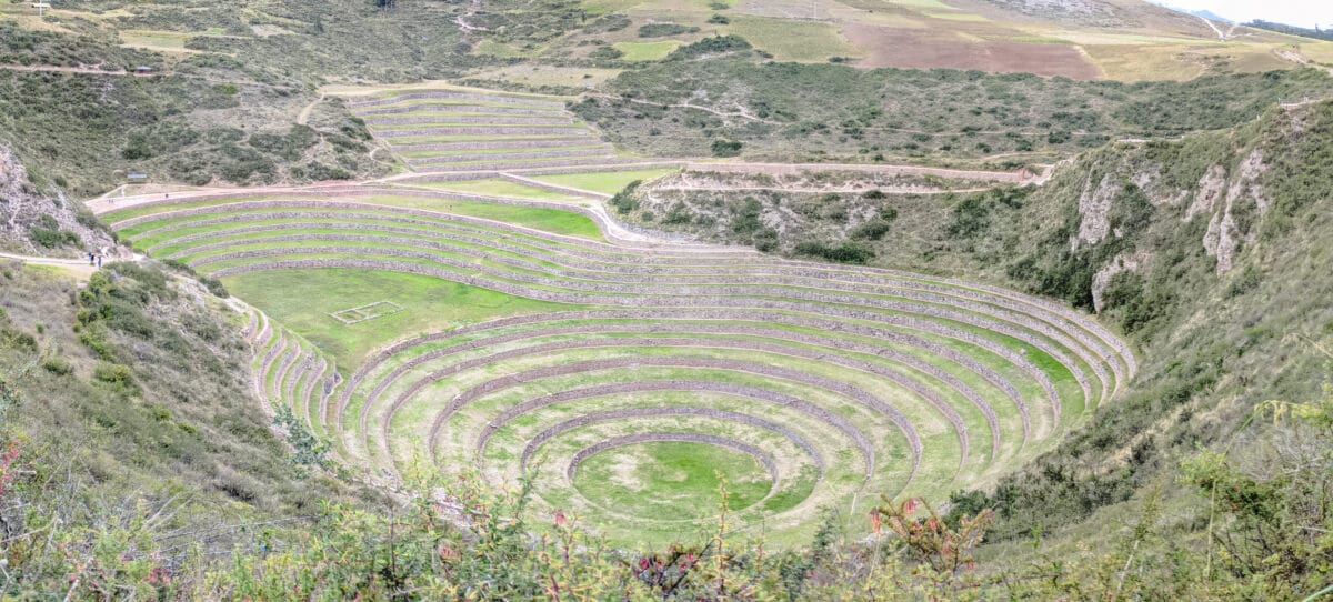 The Moray Terraces