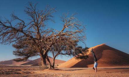 Ultimate Ten Day Namibia Itinerary!