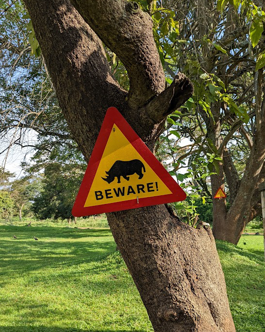 beware rhinos - Rhino tracking in Uganda