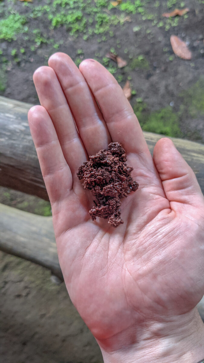 Hand-made dark chocolate.
