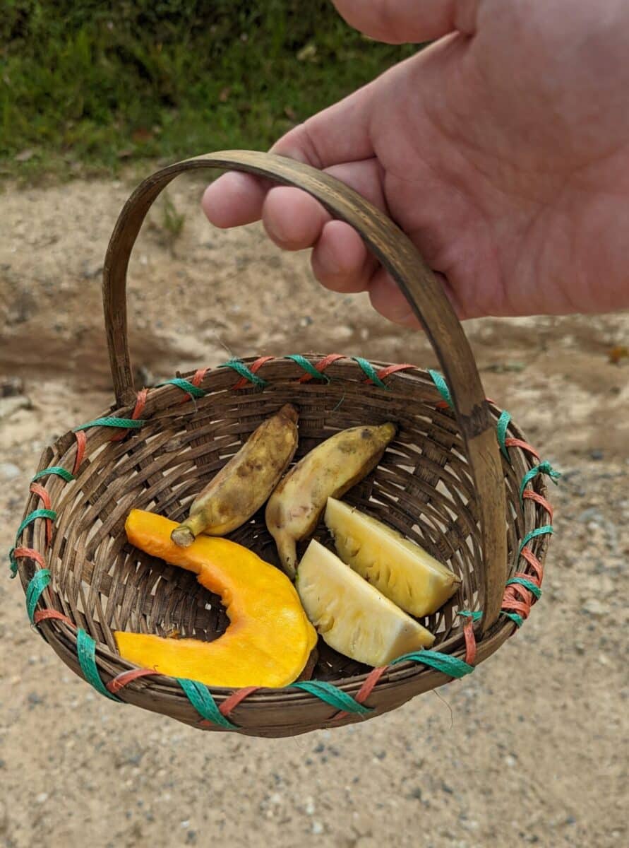 Basket of fruit to feed elephants.