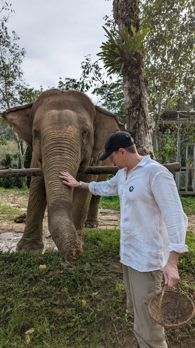 Me petting an elephant.