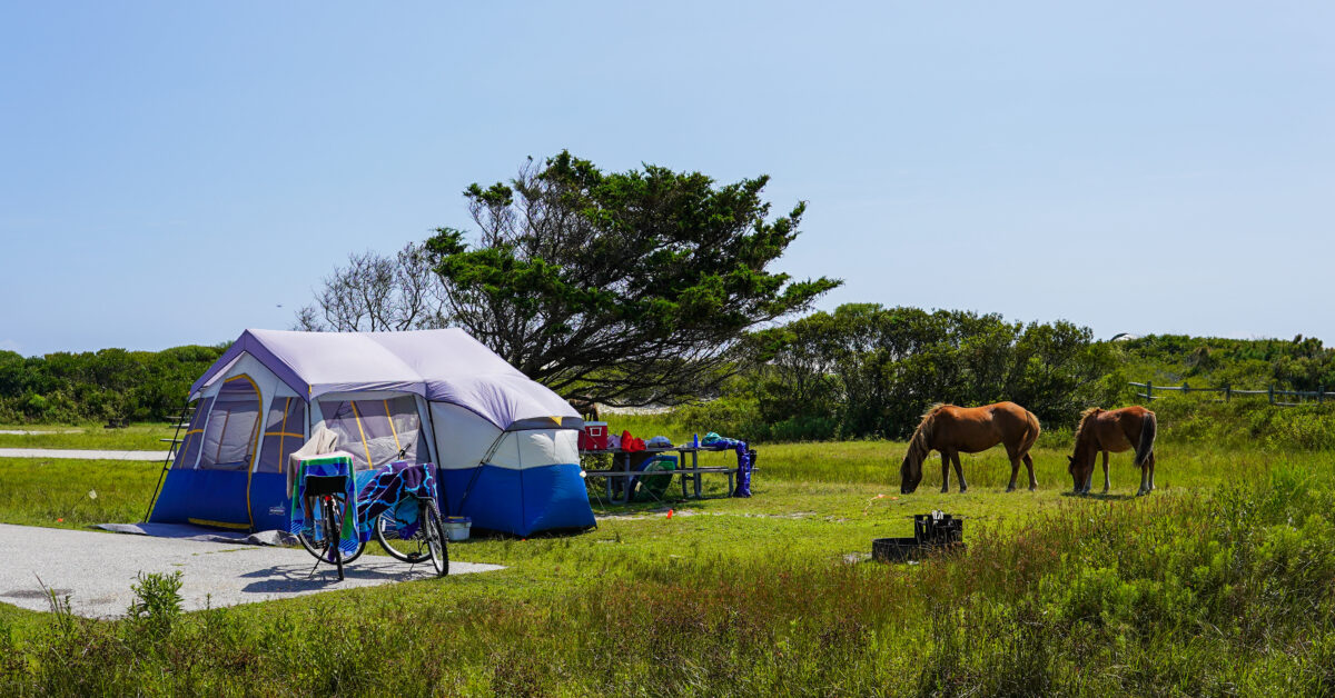 Assateague Island camp site.