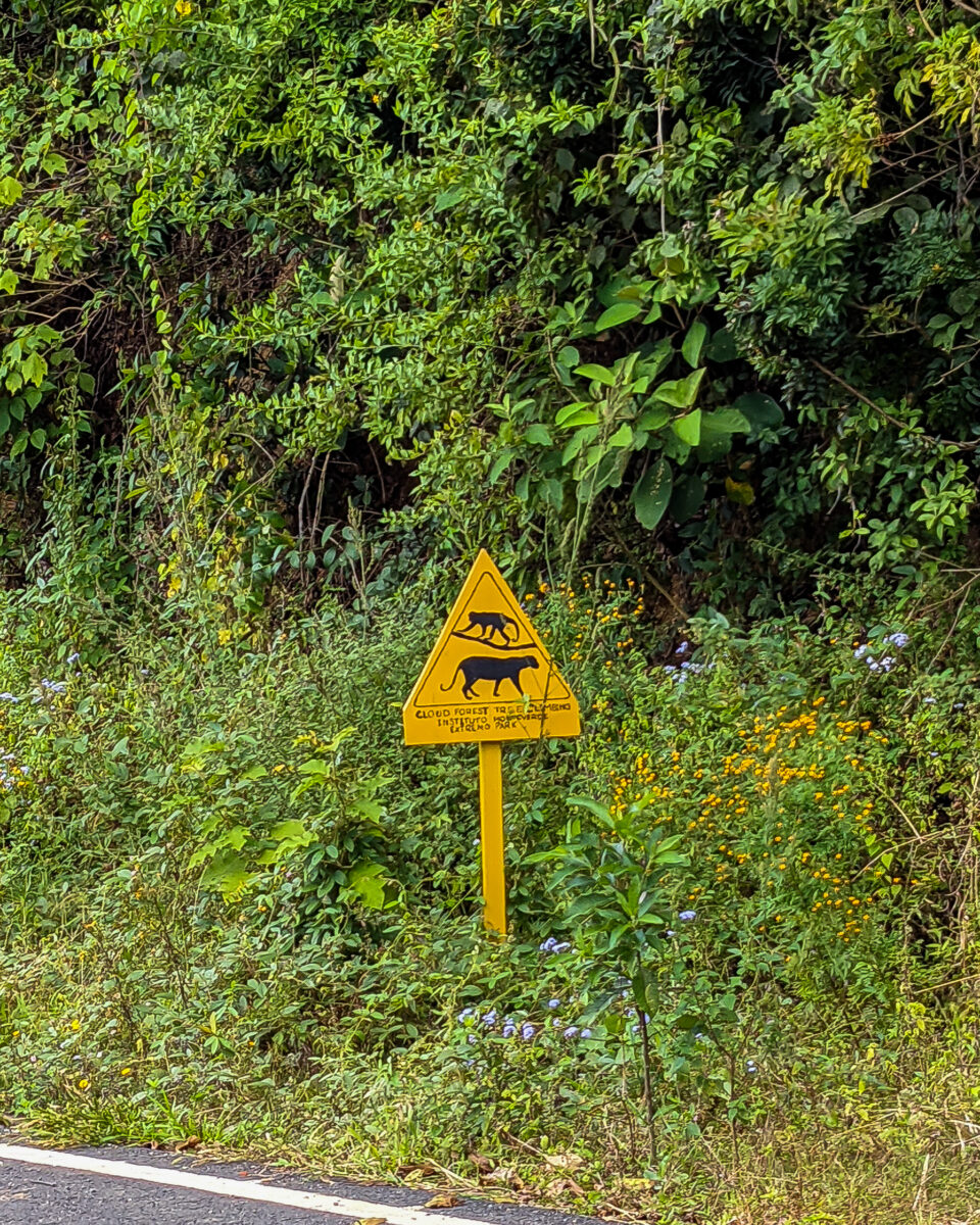Caution animal crossing