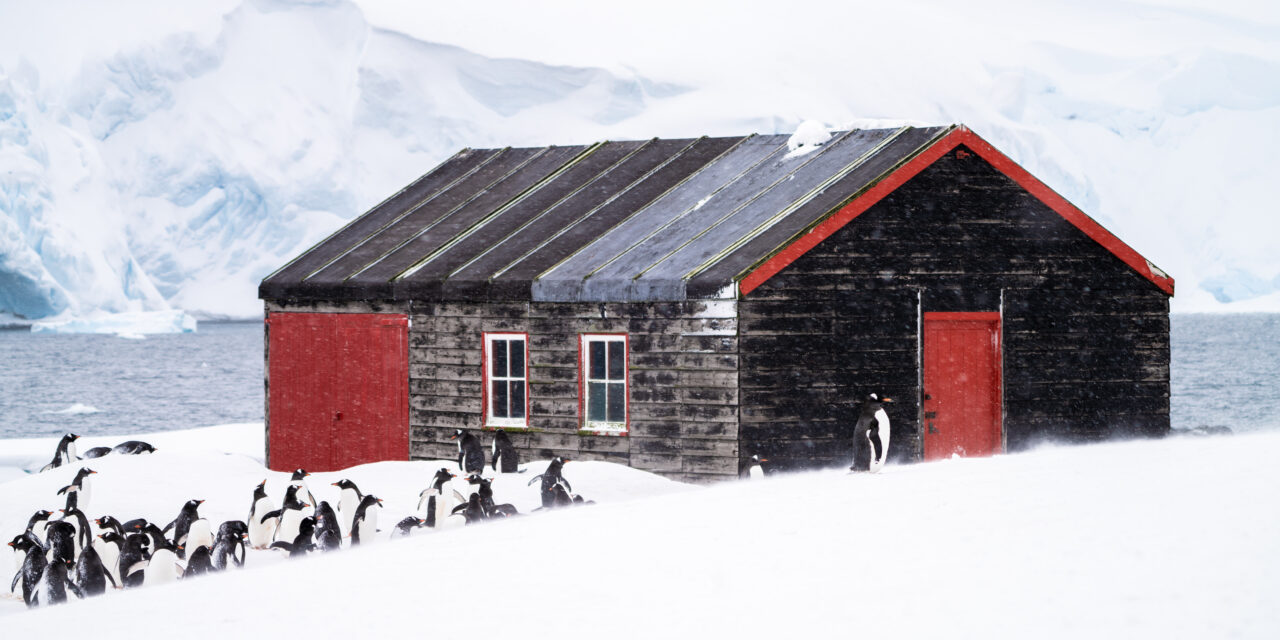 Visiting Antarctica on a Budget