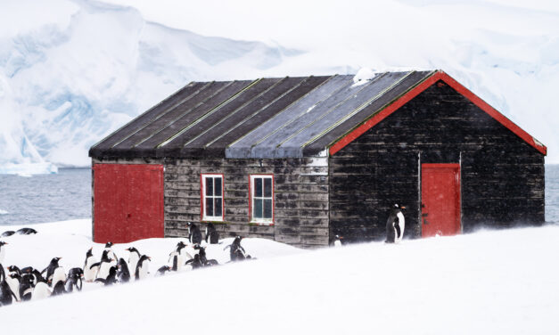 Visiting Antarctica on a Budget