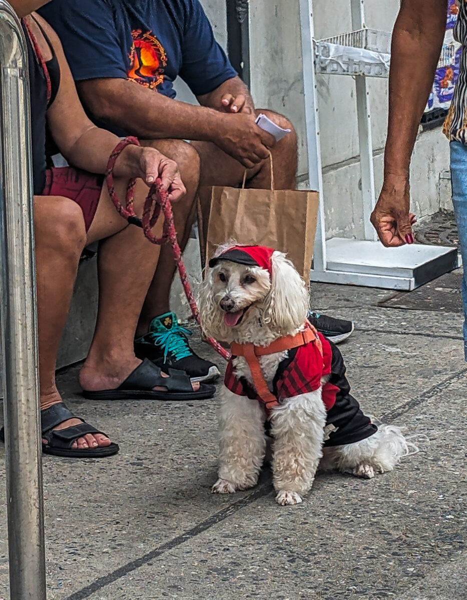 Flamengo Fan